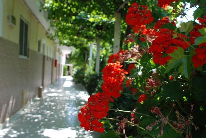 Manao Summer House ซีลีวี ภายนอก รูปภาพ